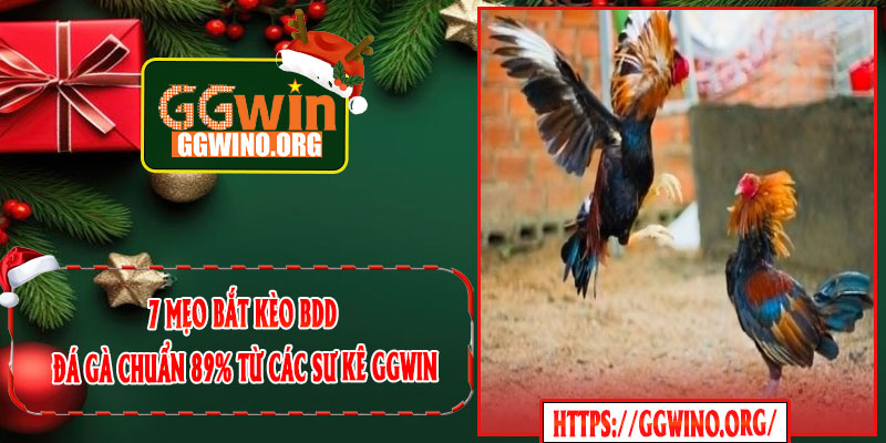 7 Mẹo Bắt Kèo BDD Đá Gà Chuẩn 89% Từ Các Sư Kê GGWIN