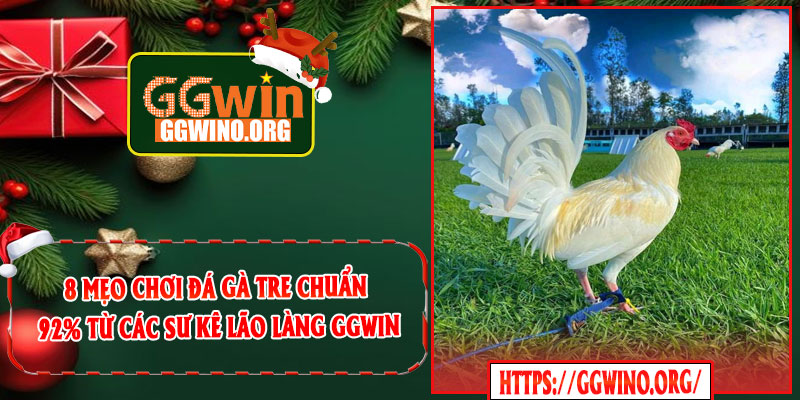 8 Mẹo Chơi Đá Gà Tre Chuẩn 92% Từ Các Sư Kê Lão Làng GGWIN