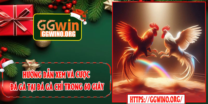 Hướng dẫn xem và cược đá gà tại Đá Gà chỉ trong 60 giây
