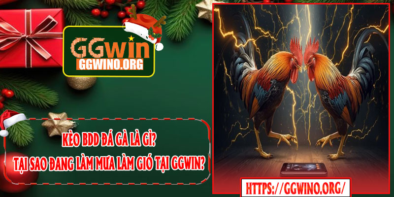 Kèo BDD Đá Gà Là Gì? Tại Sao Đang Làm Mưa Làm Gió Tại GGWIN?