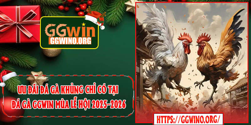 Ưu đãi đá gà khủng chỉ có tại Đá Gà GGWIN mùa lễ hội 2025–2026